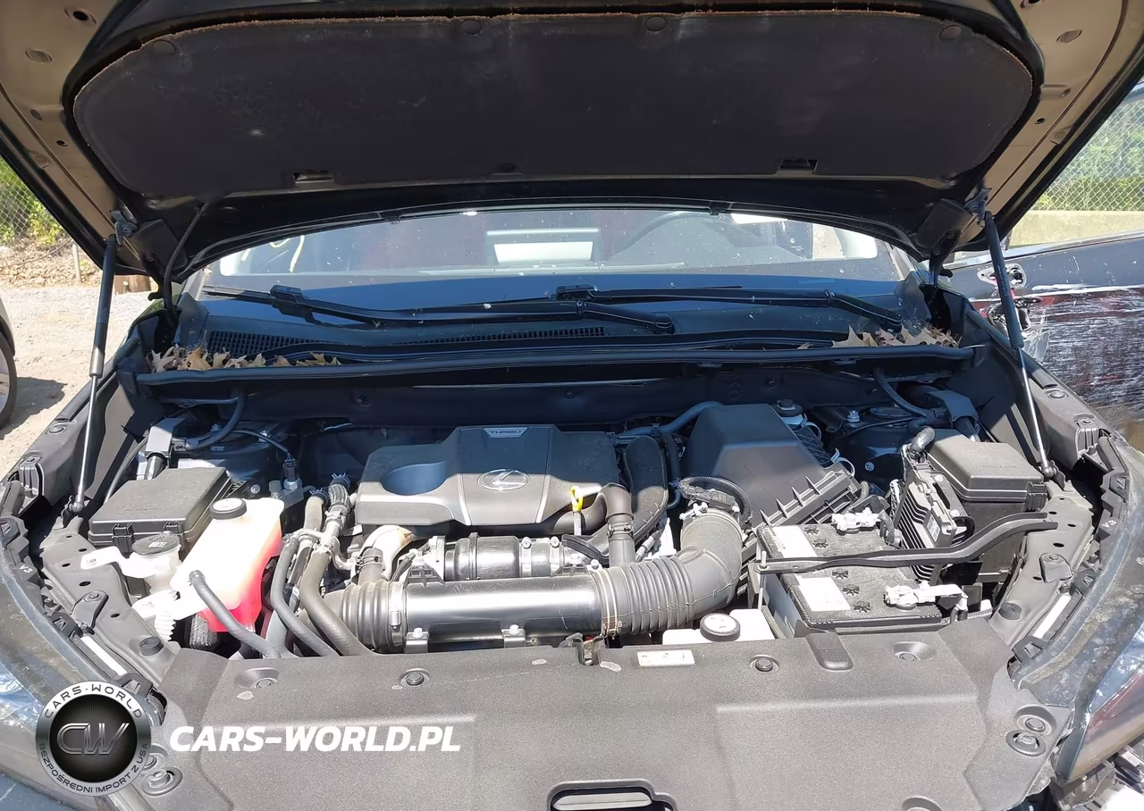 2020 Lexus Nx 300 VIN:JTJDARDZXL2231490 - 10
