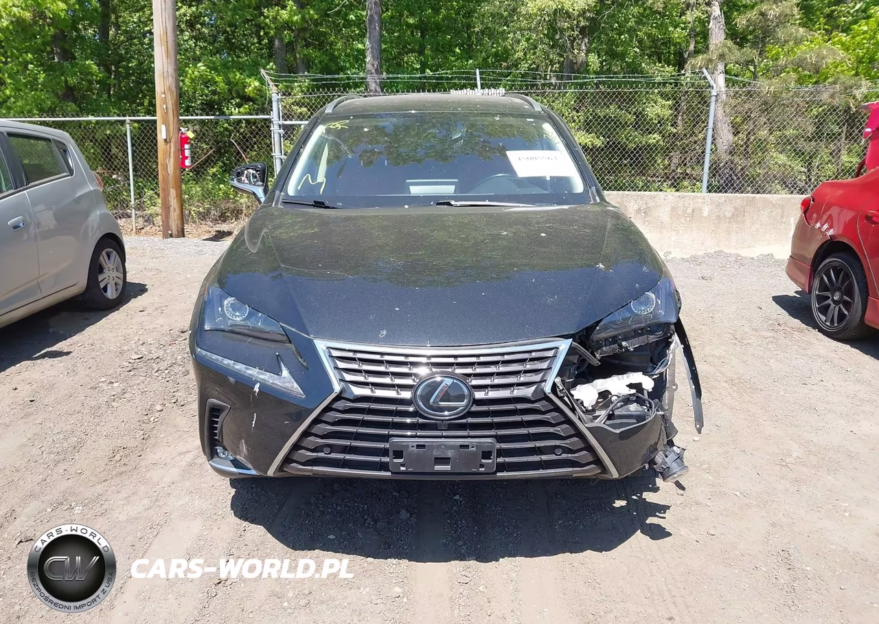 2020 Lexus Nx 300 VIN:JTJDARDZXL2231490 - 12