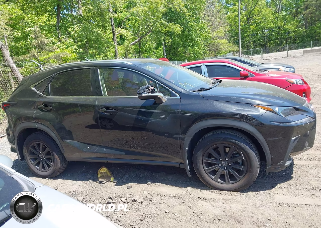 2020 Lexus Nx 300 VIN:JTJDARDZXL2231490 - 13