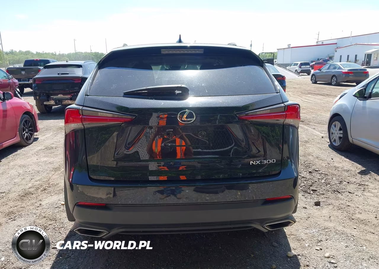 2020 Lexus Nx 300 VIN:JTJDARDZXL2231490 - 16