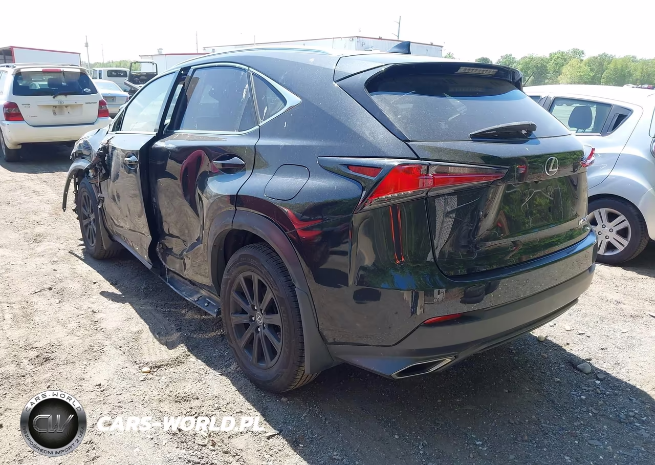 2020 Lexus Nx 300 VIN:JTJDARDZXL2231490 - 3