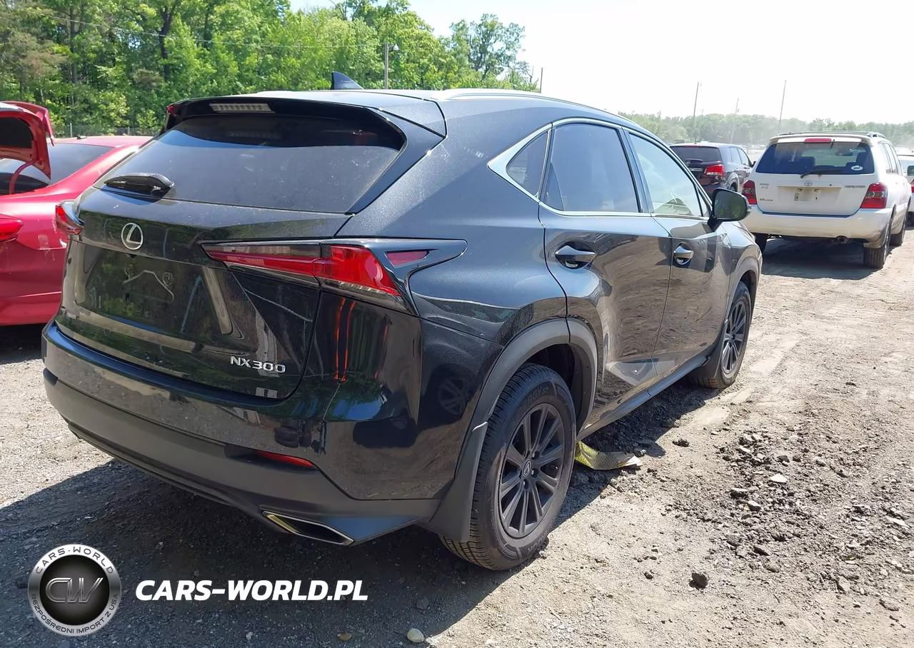 2020 Lexus Nx 300 VIN:JTJDARDZXL2231490 - 4