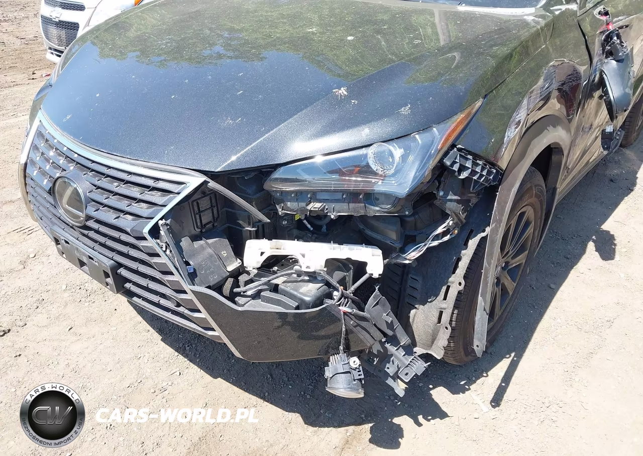 2020 Lexus Nx 300 VIN:JTJDARDZXL2231490 - 6