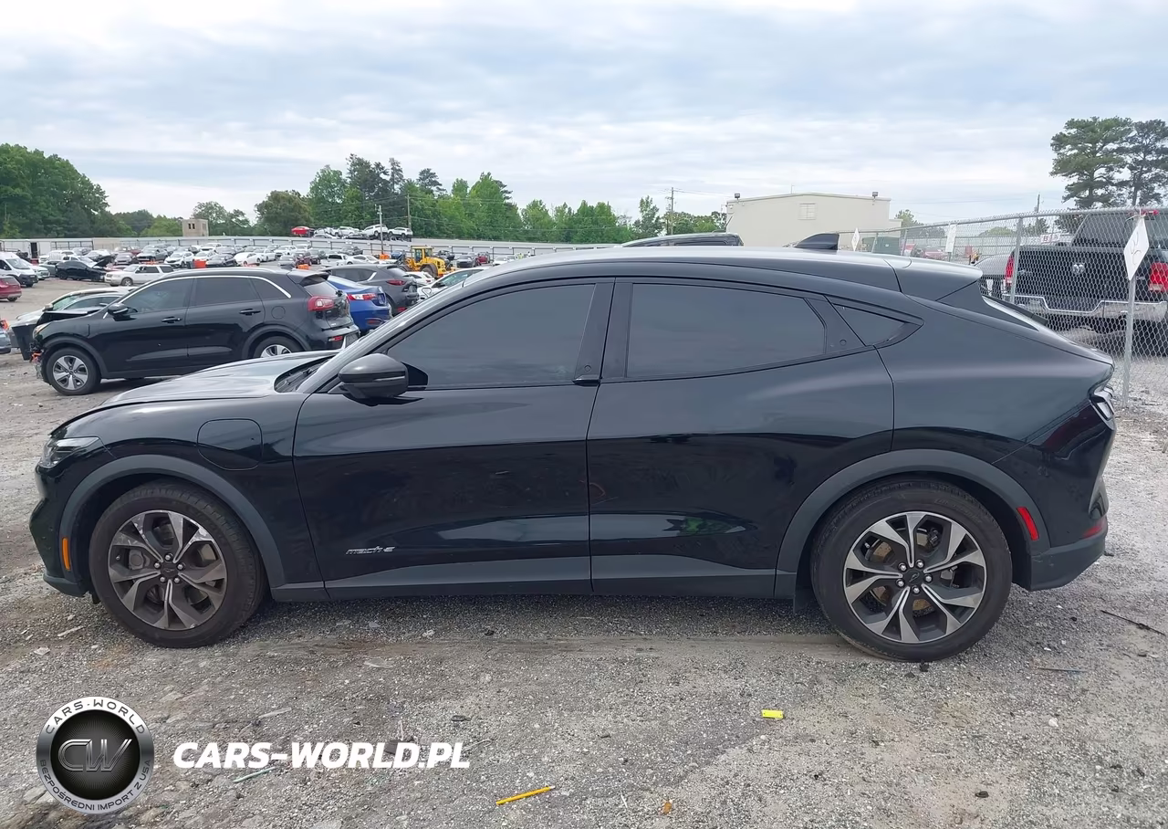 2024 Ford Mustang Mach-E Select VIN:3FMTK1R41RMA06575 - 14
