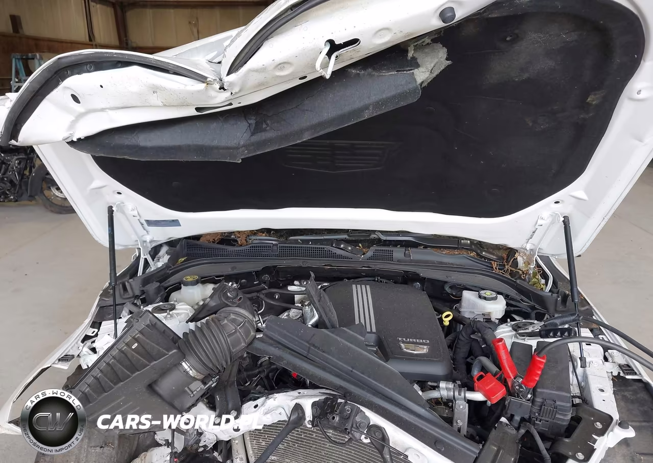 2023 Cadillac Ct4 Premium Luxury VIN:1G6DF5RK8P0103911 - 10