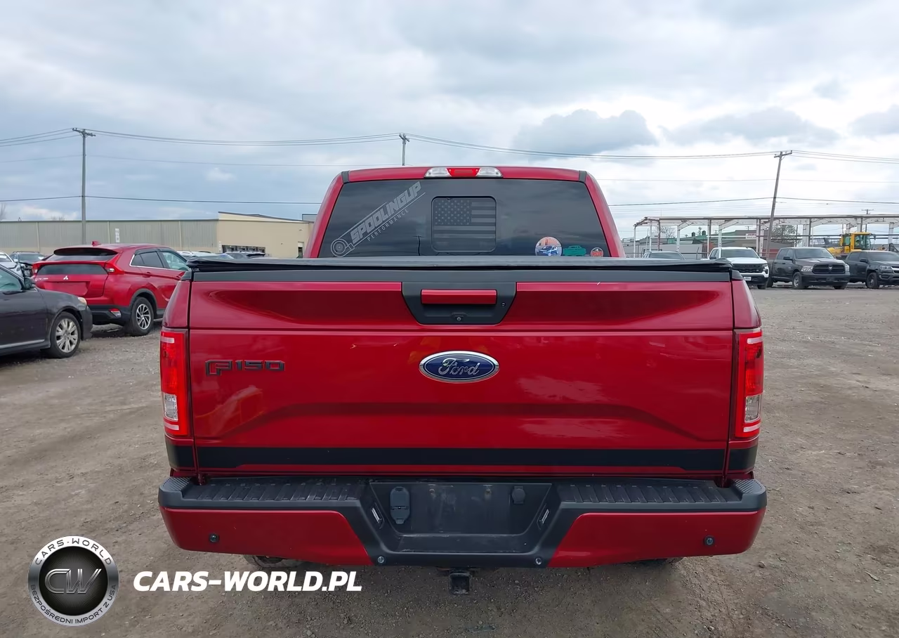 2016 Ford F-150 Xlt VIN:1FTEW1EG6GFA66138 - 16