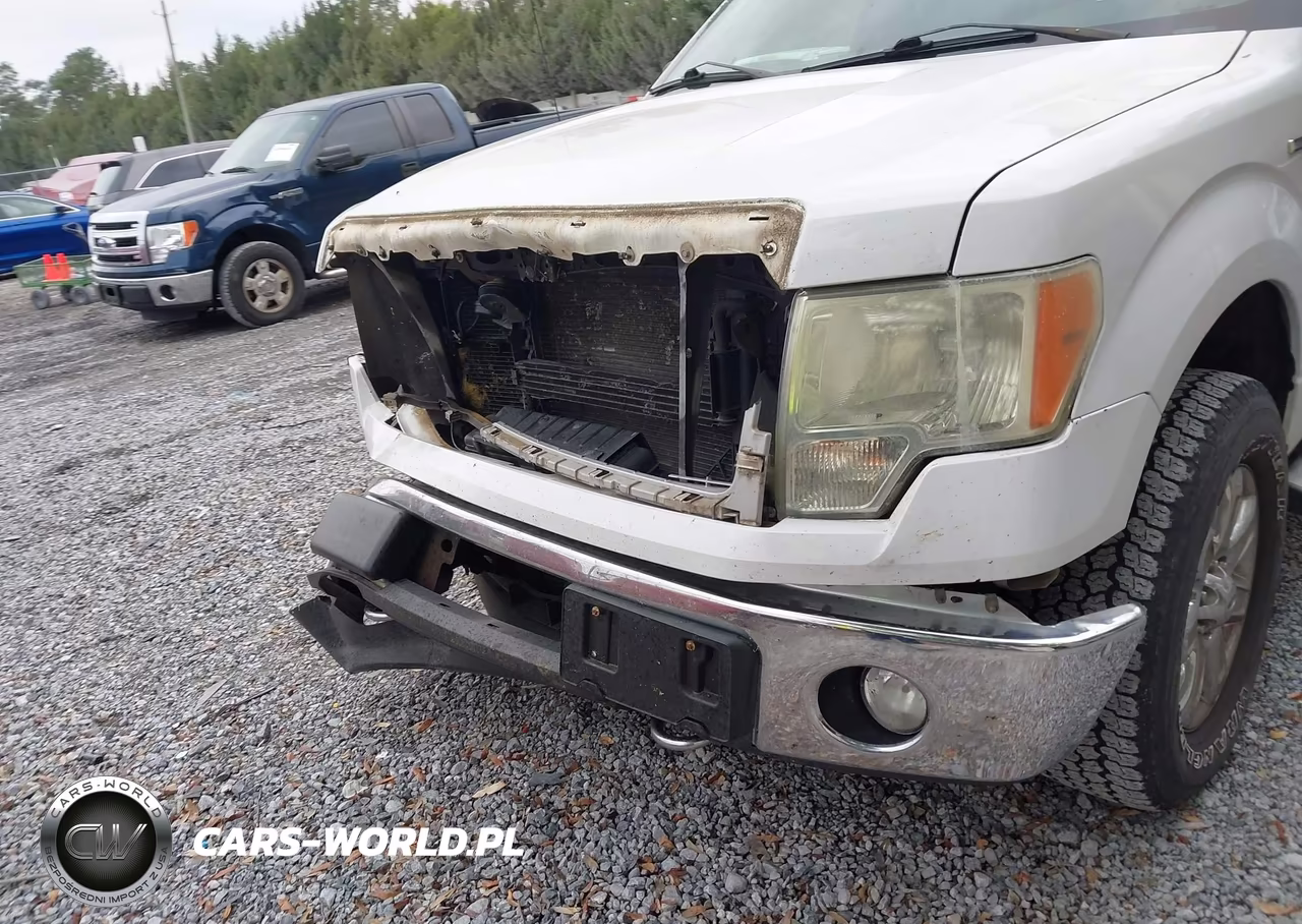 2013 Ford F-150 Fx4-King Ranch-Lariat-Limited-Platinum-Xl-Xlt VIN:1FTFW1ET4DFB50097 - 18