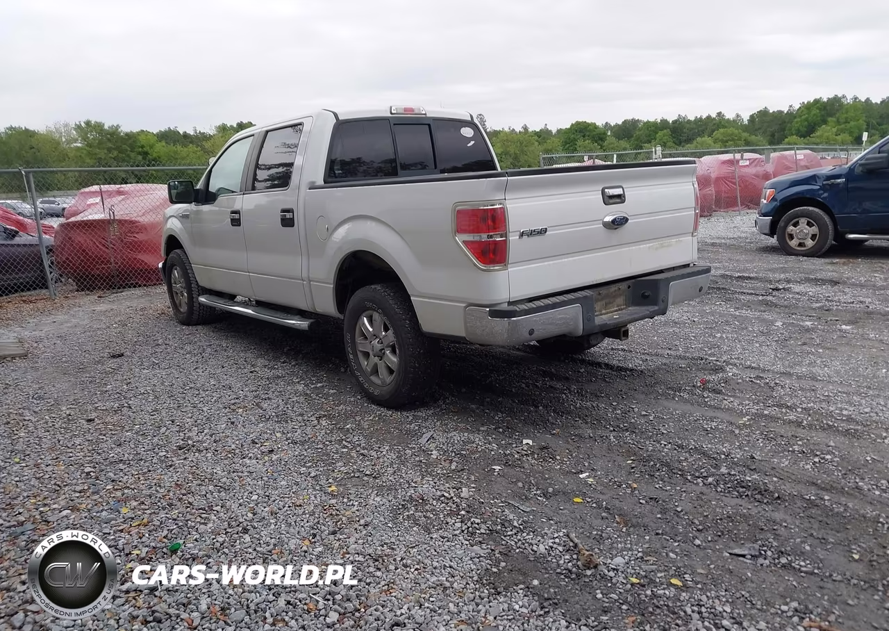 2013 Ford F-150 Fx4-King Ranch-Lariat-Limited-Platinum-Xl-Xlt VIN:1FTFW1ET4DFB50097 - 3