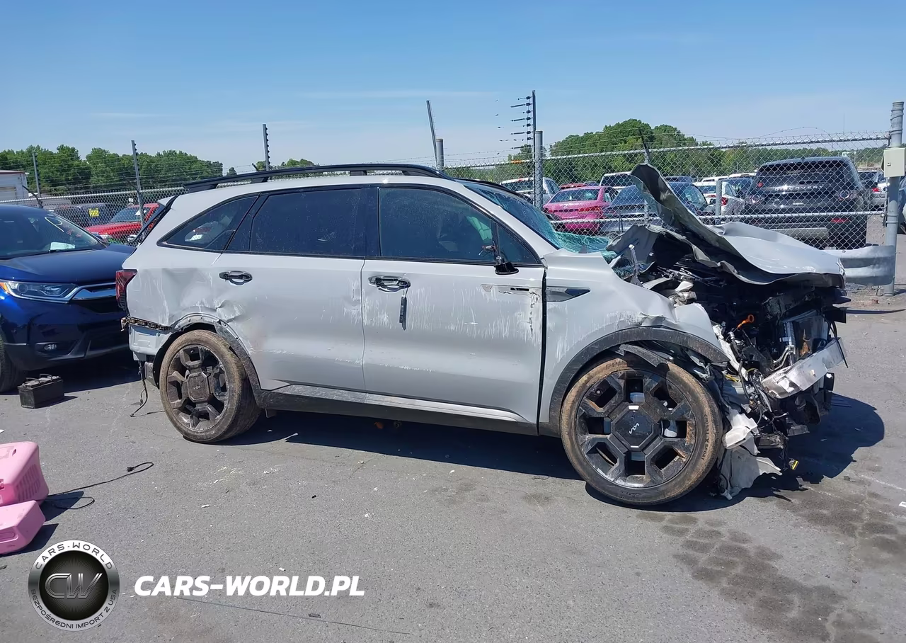 2024 Kia Sorento X-Line Sx VIN:5XYRKDJF6RG280316 - 13