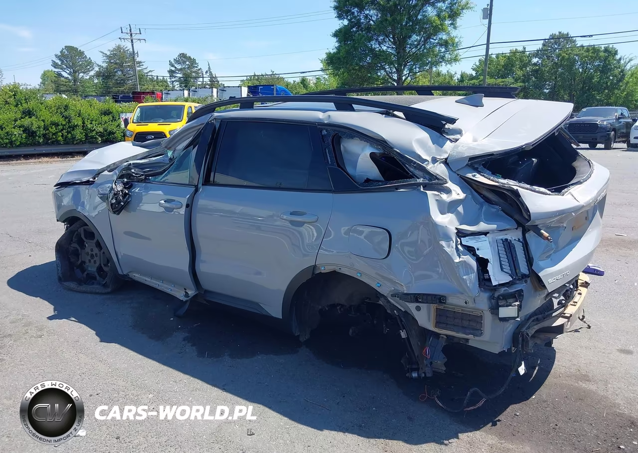 2024 Kia Sorento X-Line Sx VIN:5XYRKDJF6RG280316 - 14