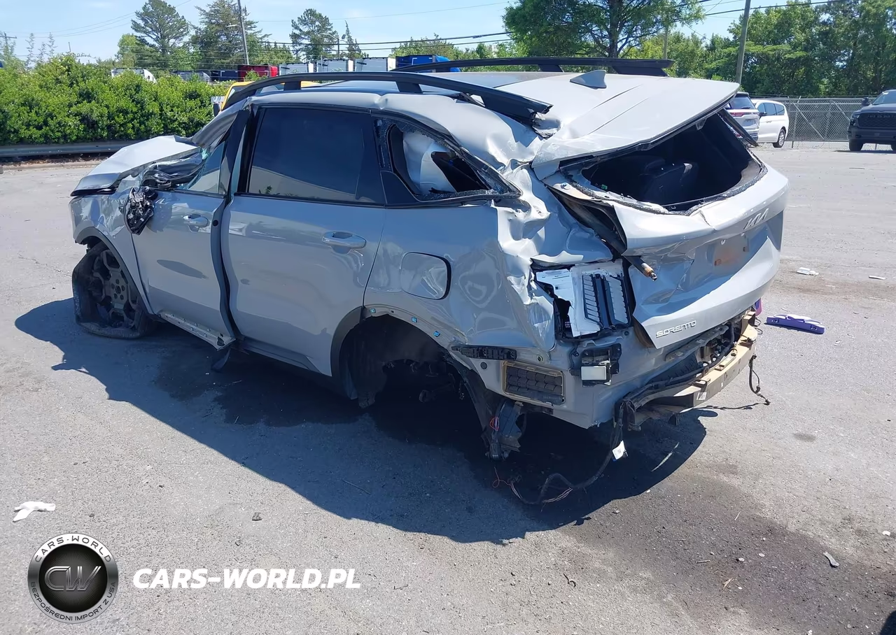 2024 Kia Sorento X-Line Sx VIN:5XYRKDJF6RG280316 - 3