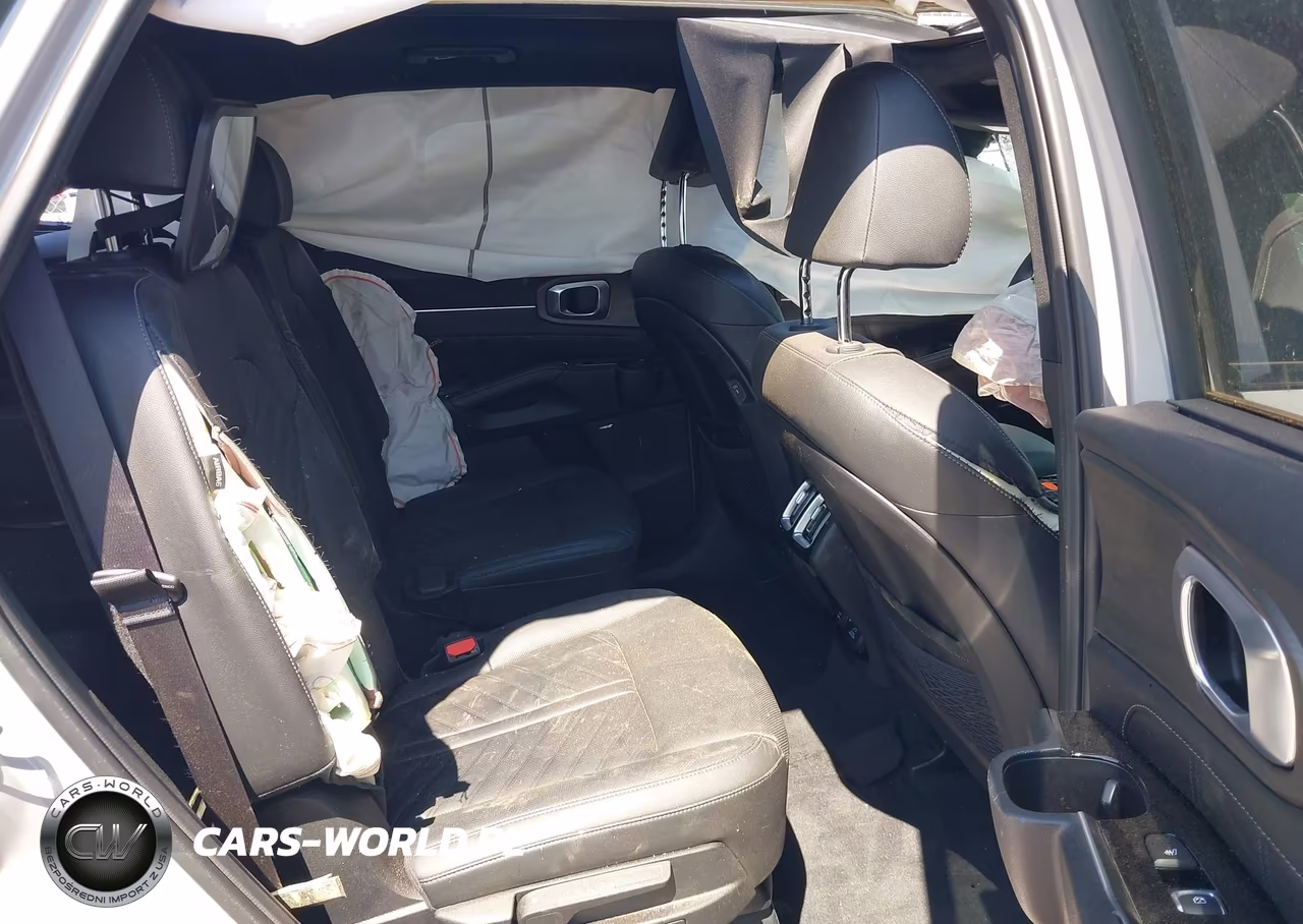 2024 Kia Sorento X-Line Sx VIN:5XYRKDJF6RG280316 - 8