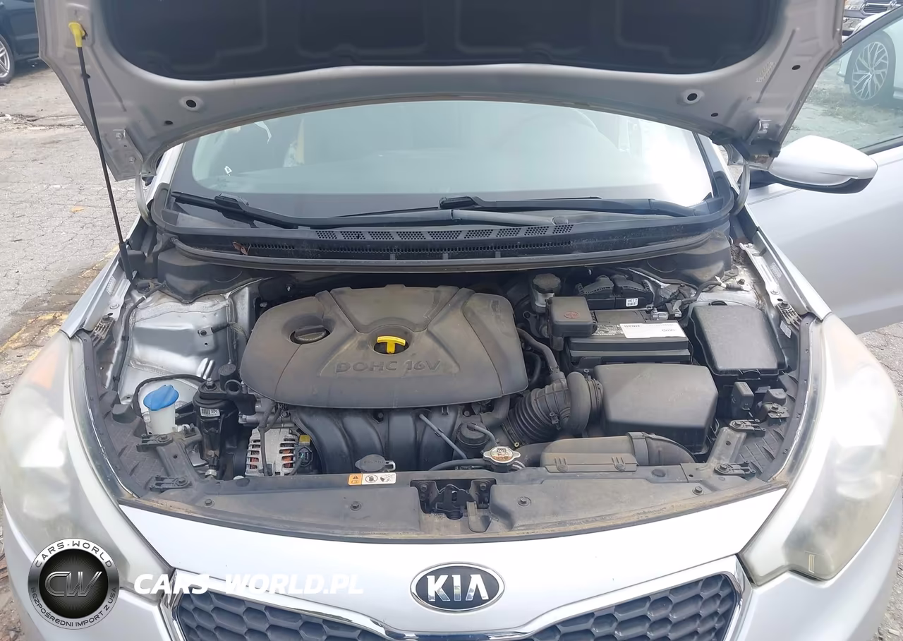 2015 Kia Forte Lx VIN:KNAFK4A64F5405107 - 10