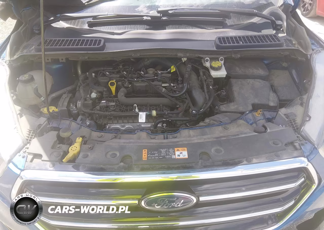 2019 Ford Escape Se VIN:1FMCU0GDXKUB02052 - 10