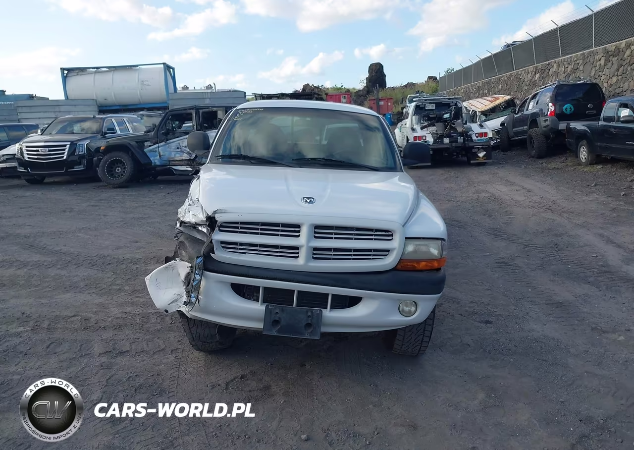 1999 Dodge Dakota Slt-Sport VIN:1B7GG22X5XS190716 - 12