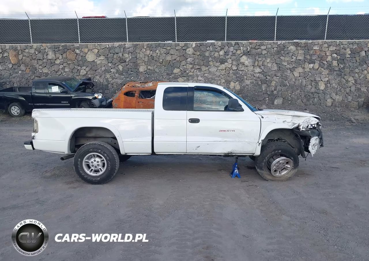 1999 Dodge Dakota Slt-Sport VIN:1B7GG22X5XS190716 - 13