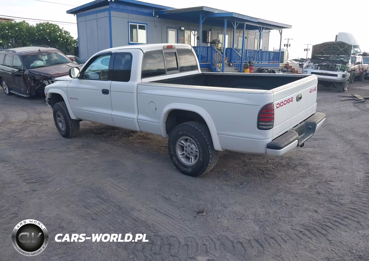 1999 Dodge Dakota Slt-Sport VIN:1B7GG22X5XS190716 - 3