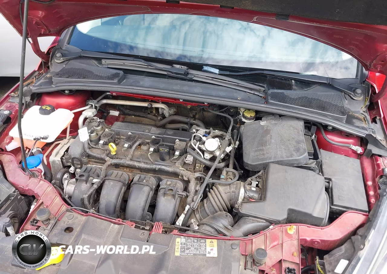 2016 Ford Focus Se VIN:1FADP3K29GL327900 - 10