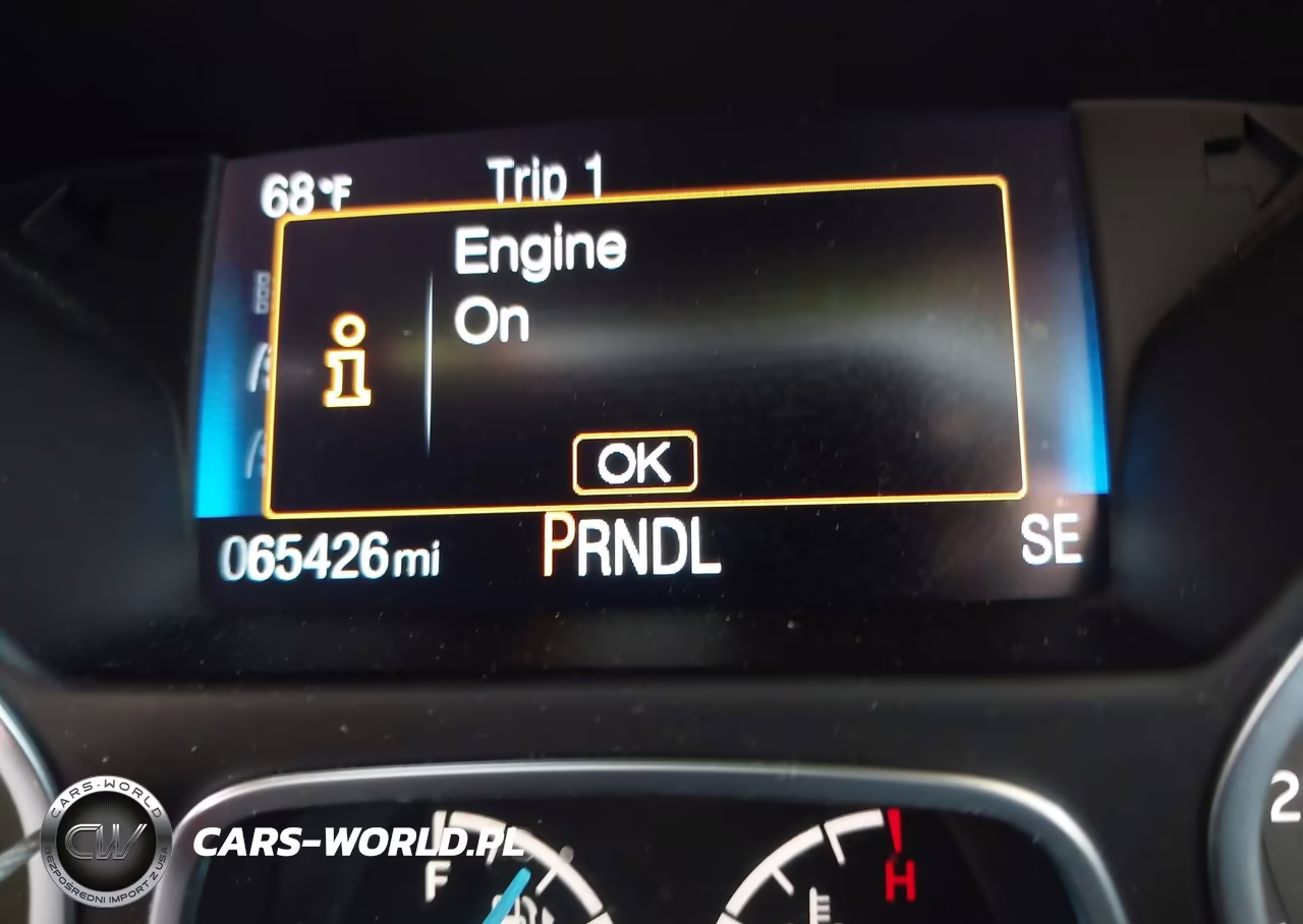 2016 Ford Focus Se VIN:1FADP3K29GL327900 - 15