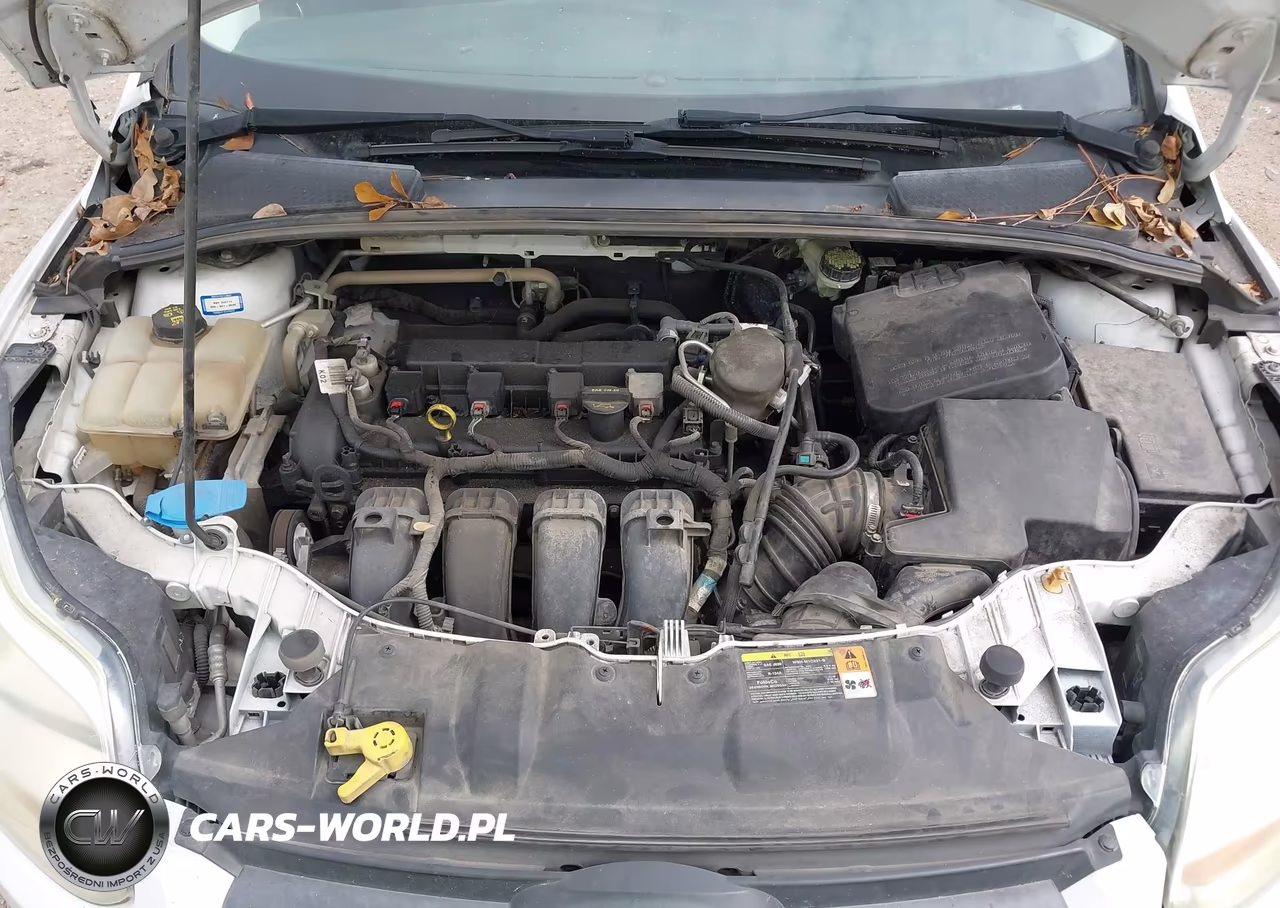 2014 Ford Focus Se VIN:1FADP3F23EL242249 - 10