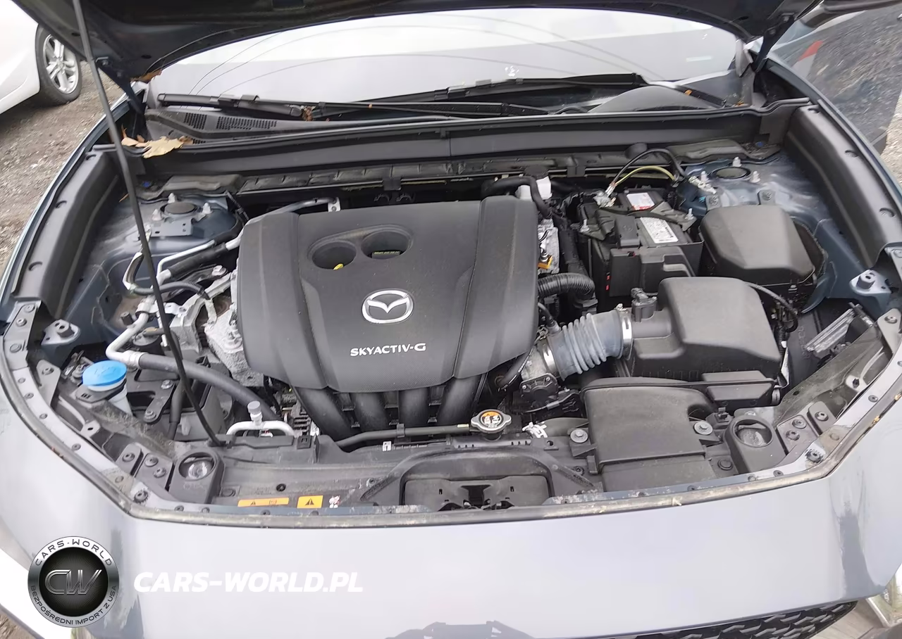 2020 Mazda Cx-30 Premium Package VIN:3MVDMBEM8LM105950 - 10
