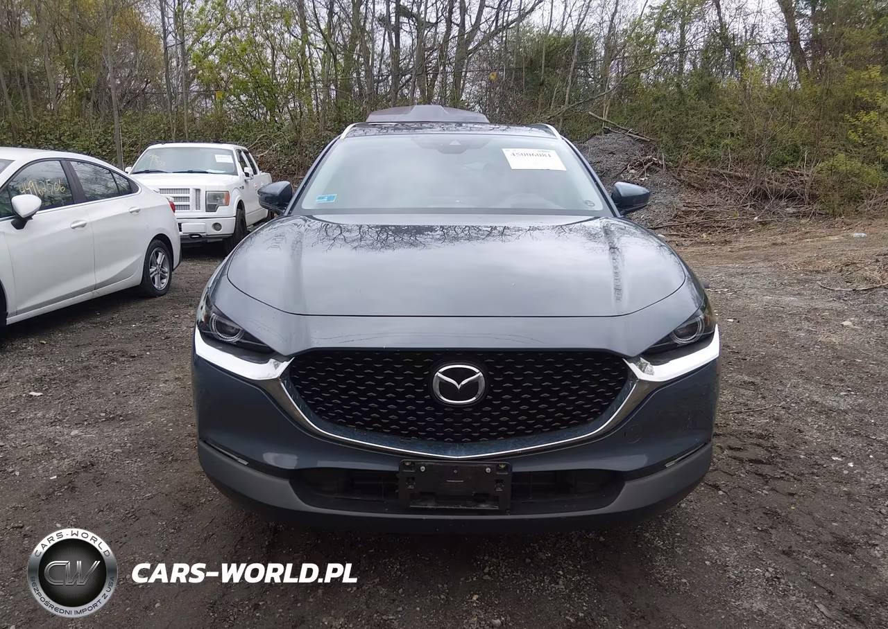 2020 Mazda Cx-30 Premium Package VIN:3MVDMBEM8LM105950 - 12