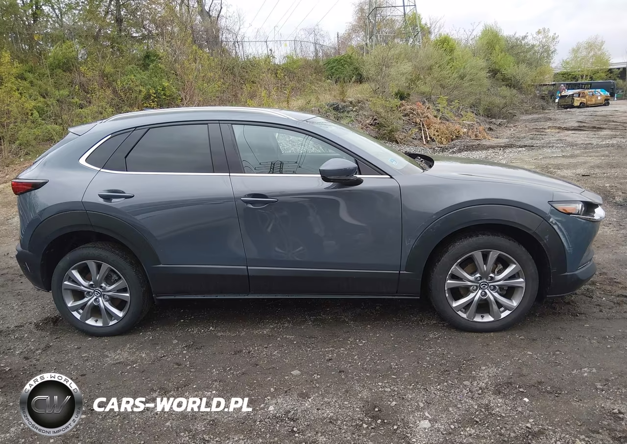2020 Mazda Cx-30 Premium Package VIN:3MVDMBEM8LM105950 - 13