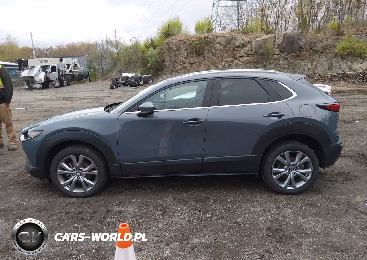 2020 Mazda Cx-30 Premium Package VIN:3MVDMBEM8LM105950 - 14