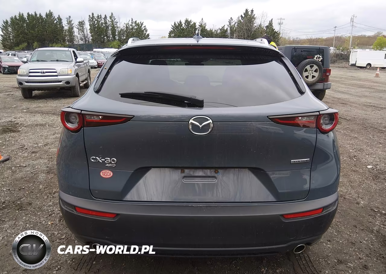 2020 Mazda Cx-30 Premium Package VIN:3MVDMBEM8LM105950 - 16