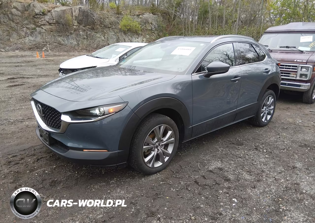 2020 Mazda Cx-30 Premium Package VIN:3MVDMBEM8LM105950 - 2
