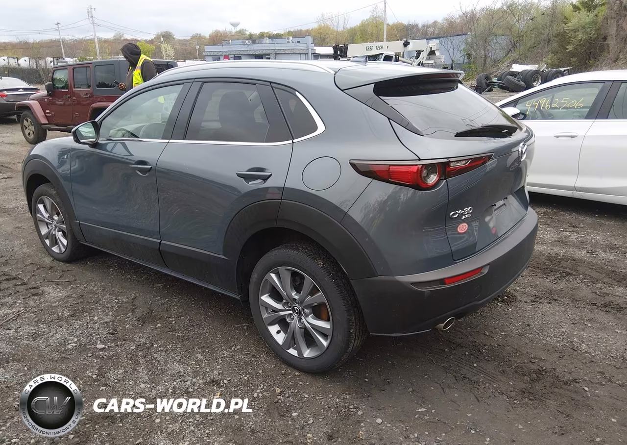 2020 Mazda Cx-30 Premium Package VIN:3MVDMBEM8LM105950 - 3