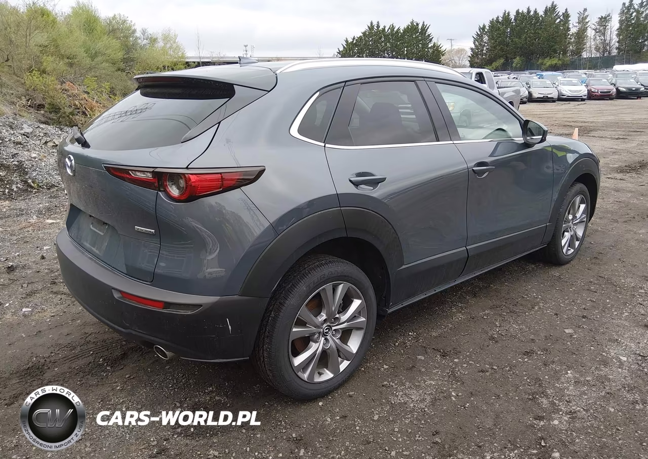 2020 Mazda Cx-30 Premium Package VIN:3MVDMBEM8LM105950 - 4