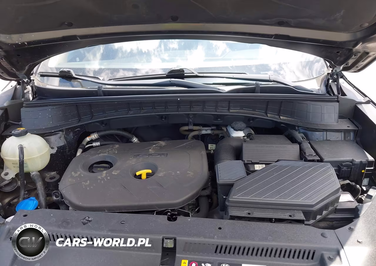 2018 Hyundai Tucson Sel Plus VIN:KM8J33A41JU651335 - 10