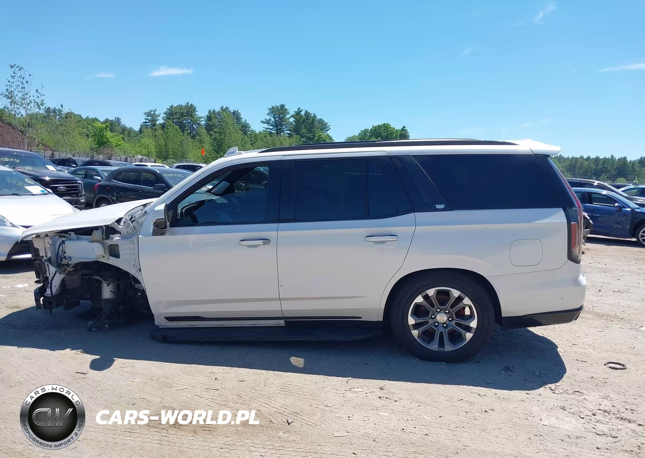 2021 Cadillac Escalade 4Wd Premium Luxury Platinum VIN:1GYS4DKL6MR213865 - 15