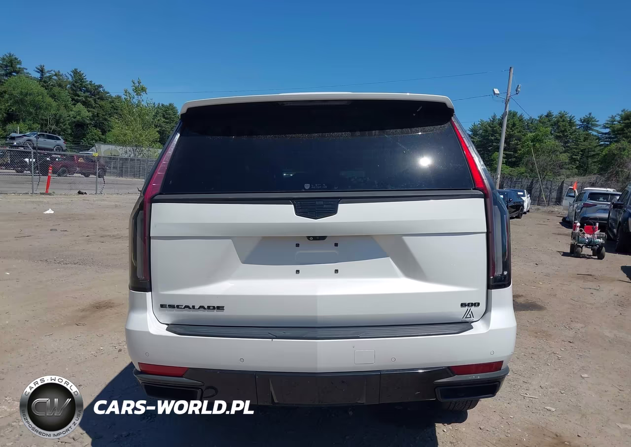 2021 Cadillac Escalade 4Wd Premium Luxury Platinum VIN:1GYS4DKL6MR213865 - 17