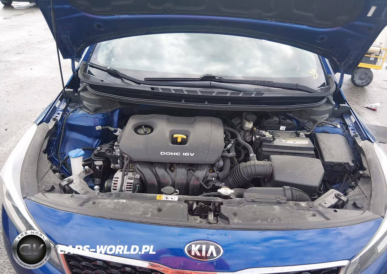 2017 Kia Forte Lx VIN:3KPFL4A78HE016843 - 10