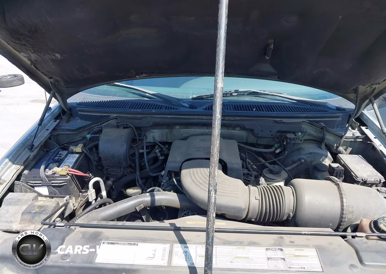1999 Ford Expedition Eddie Bauer-Xlt VIN:1FMRU1764XLB97593 - 10