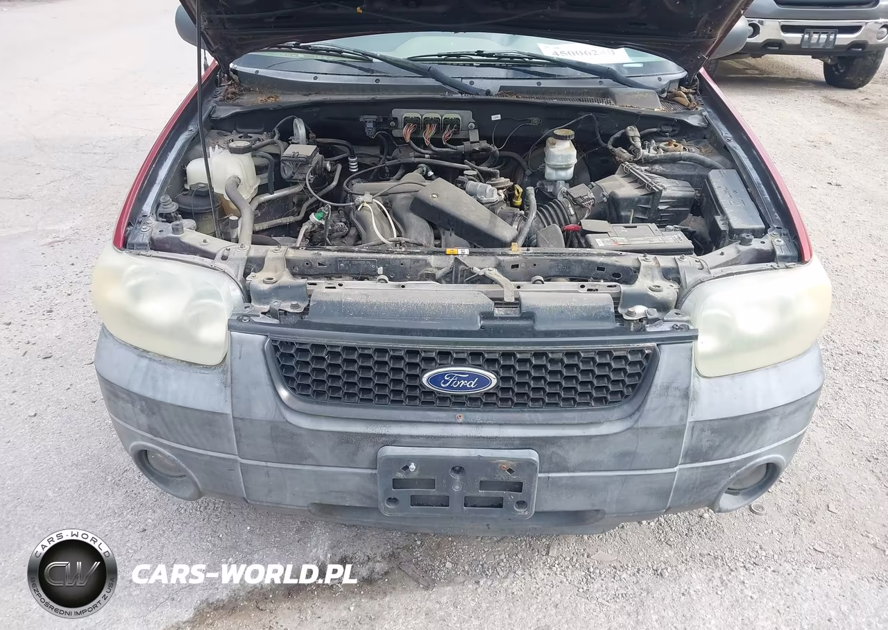 2006 Ford Escape Xlt-Xlt Sport VIN:1FMYU03126KD46443 - 10