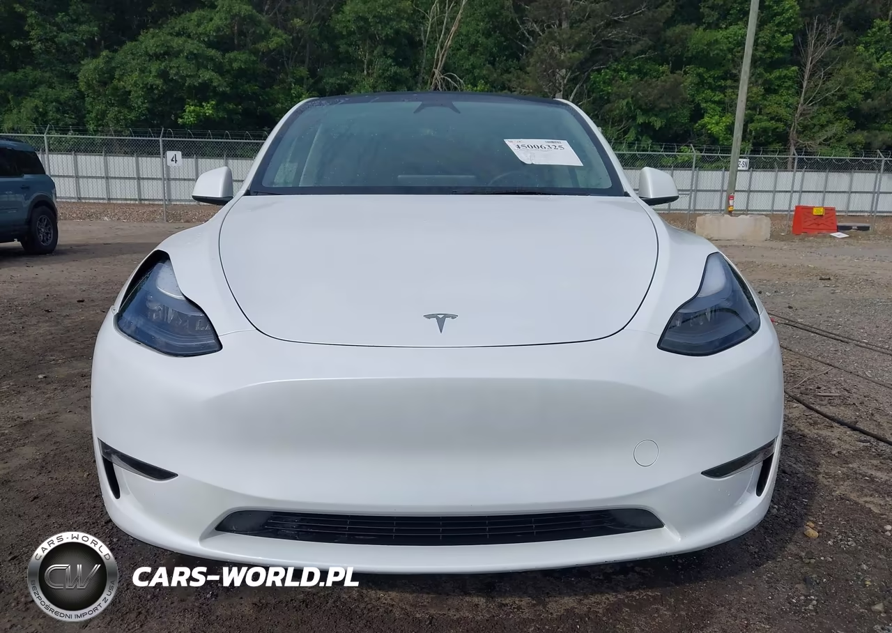 2025 Tesla Model Y Long Range Dual Motor Rear-Wheel Drive VIN:7SAYGDED5SA357860 - 12
