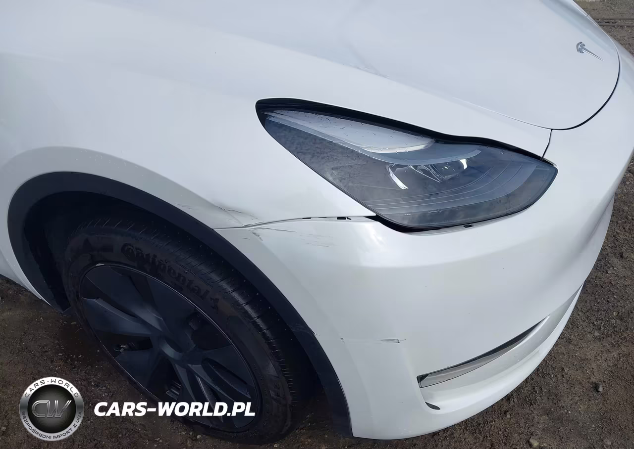 2025 Tesla Model Y Long Range Dual Motor Rear-Wheel Drive VIN:7SAYGDED5SA357860 - 20
