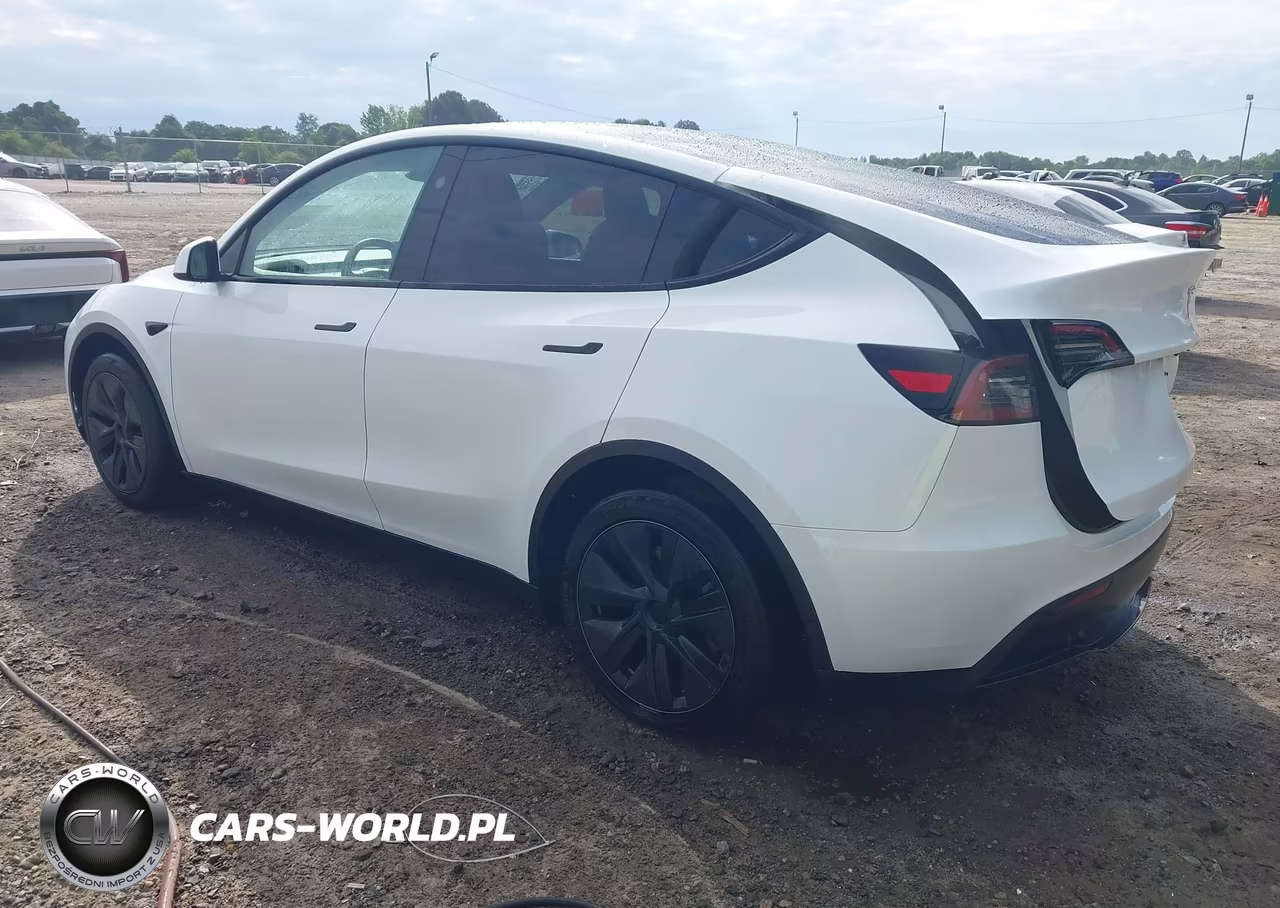 2025 Tesla Model Y Long Range Dual Motor Rear-Wheel Drive VIN:7SAYGDED5SA357860 - 3