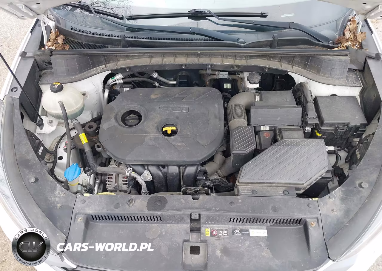 2019 Hyundai Tucson Se VIN:KM8J2CA47KU941406 - 10