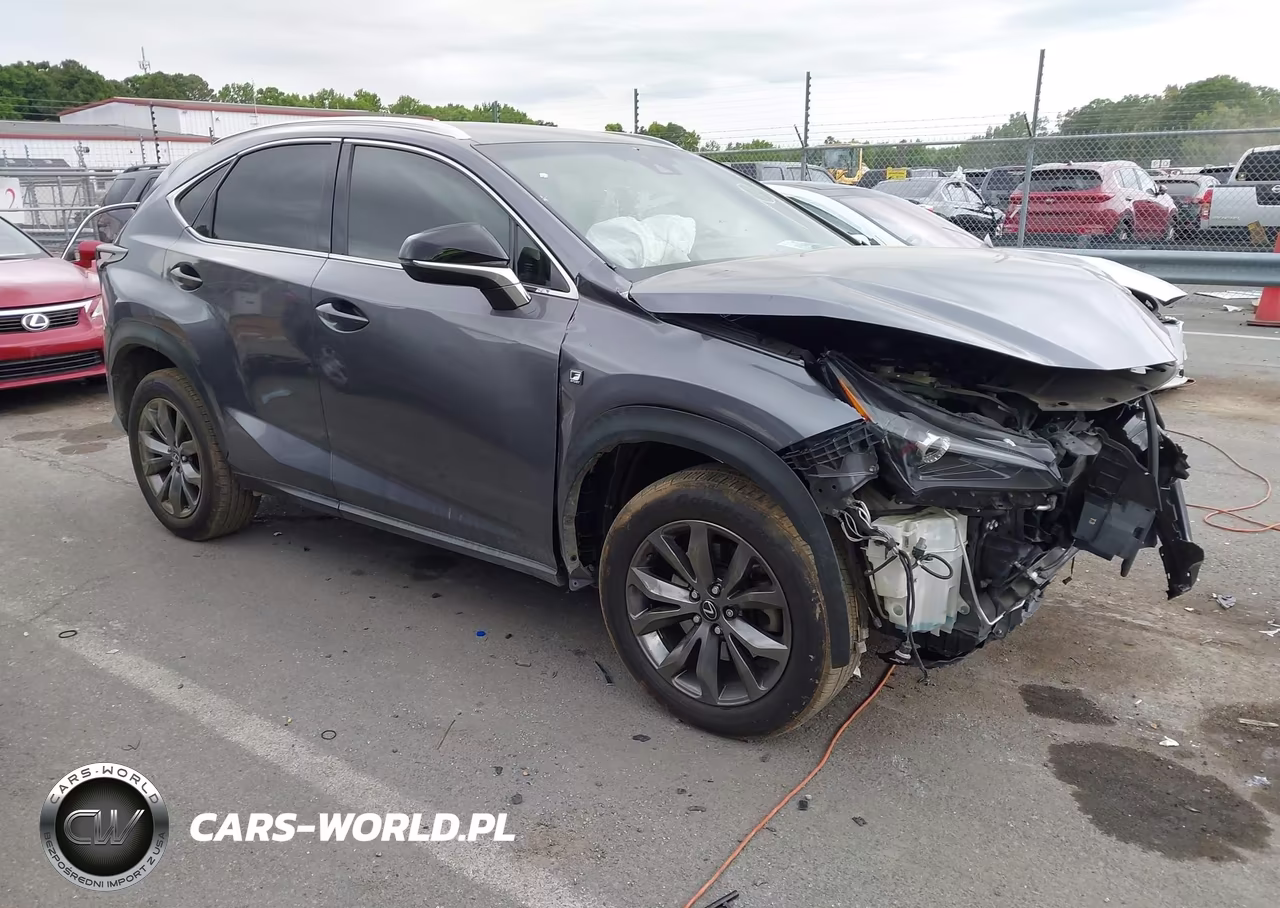 2019 Lexus Nx 300 F Sport VIN:JTJYARBZ3K2118631 - 1