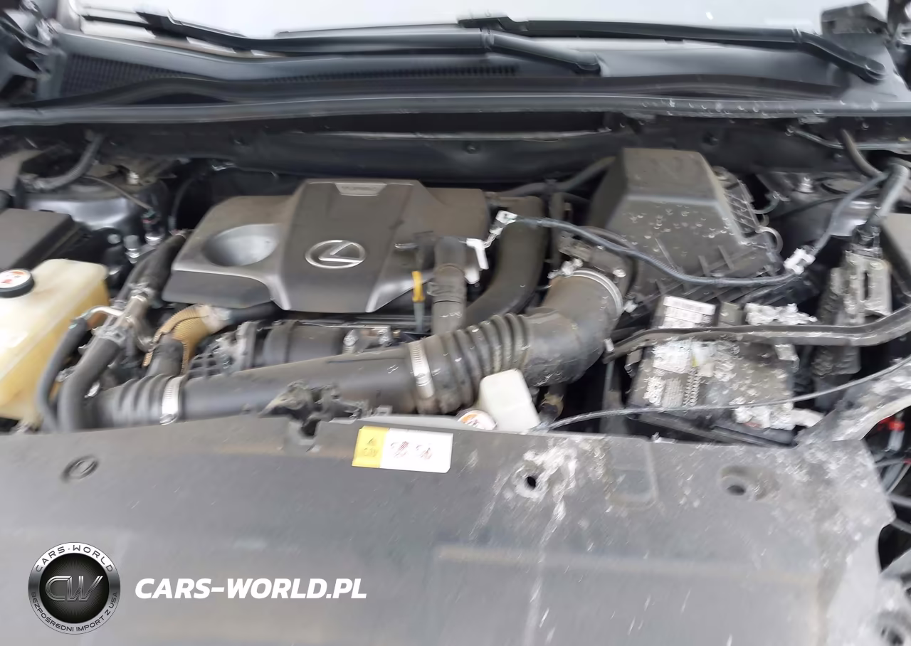 2019 Lexus Nx 300 F Sport VIN:JTJYARBZ3K2118631 - 10
