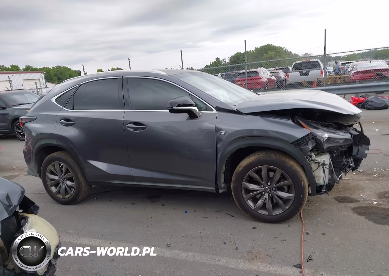 2019 Lexus Nx 300 F Sport VIN:JTJYARBZ3K2118631 - 13