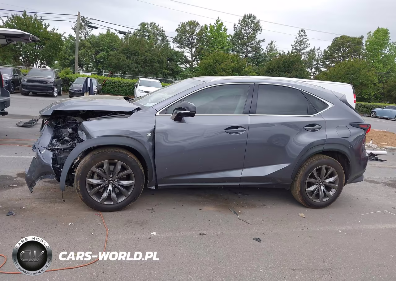 2019 Lexus Nx 300 F Sport VIN:JTJYARBZ3K2118631 - 14