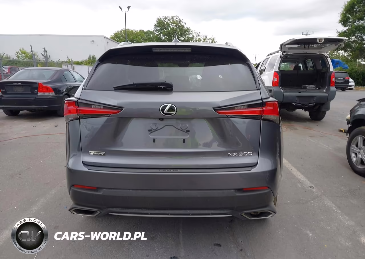 2019 Lexus Nx 300 F Sport VIN:JTJYARBZ3K2118631 - 16