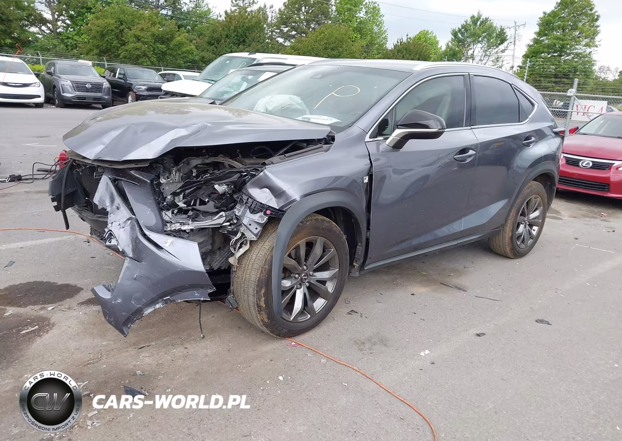 2019 Lexus Nx 300 F Sport VIN:JTJYARBZ3K2118631 - 2
