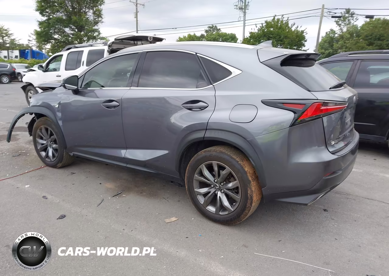 2019 Lexus Nx 300 F Sport VIN:JTJYARBZ3K2118631 - 3