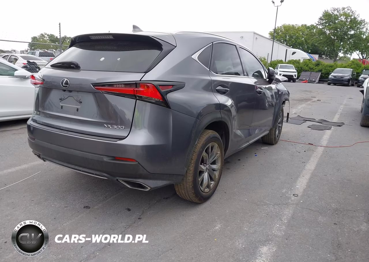 2019 Lexus Nx 300 F Sport VIN:JTJYARBZ3K2118631 - 4